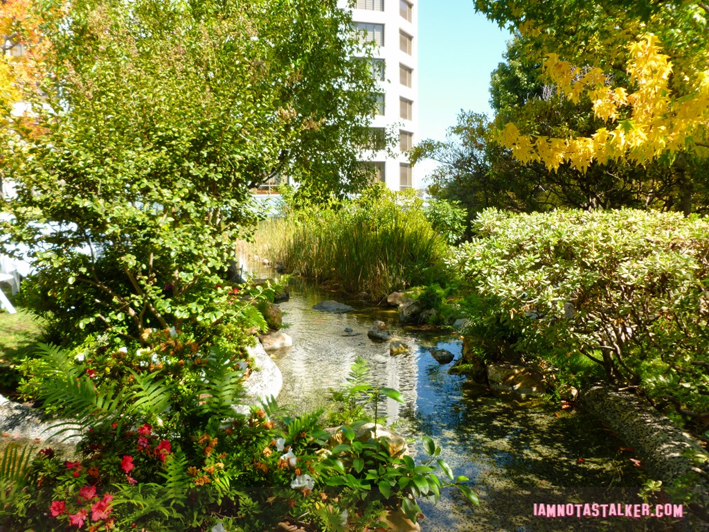 Kyoto Gardens from Her-1010178