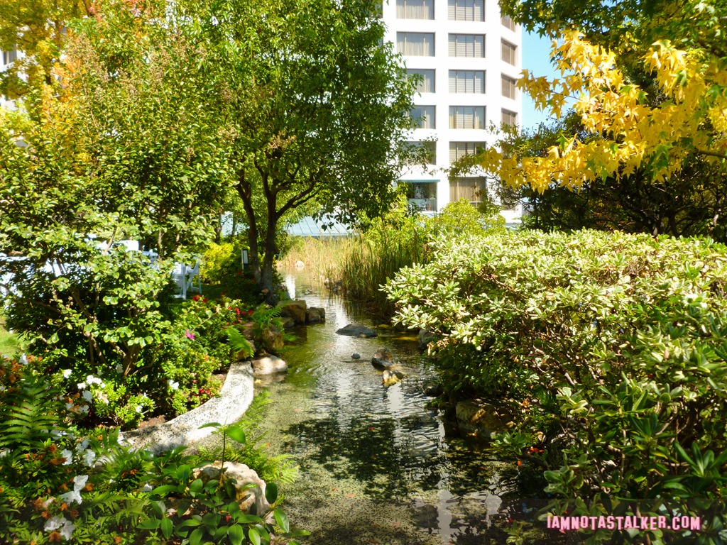 Kyoto Gardens from Her-1010151