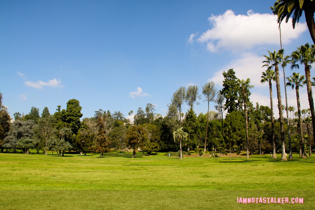 Lacy Park from Say Anything-7008