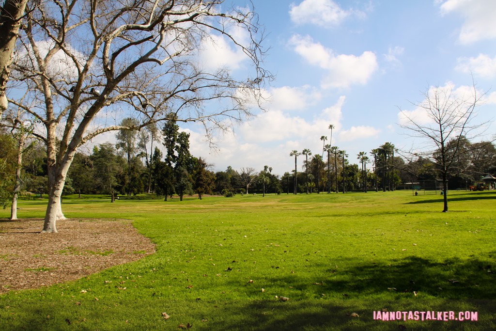 Lacy Park from Say Anything-6998