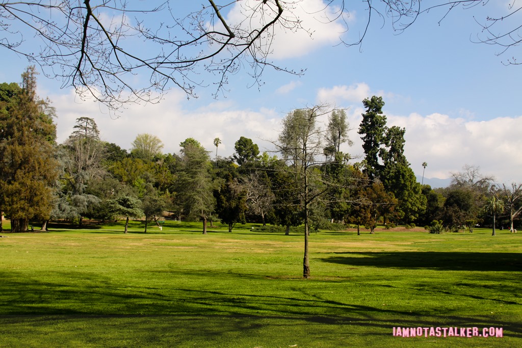 Lacy Park from Say Anything-7002