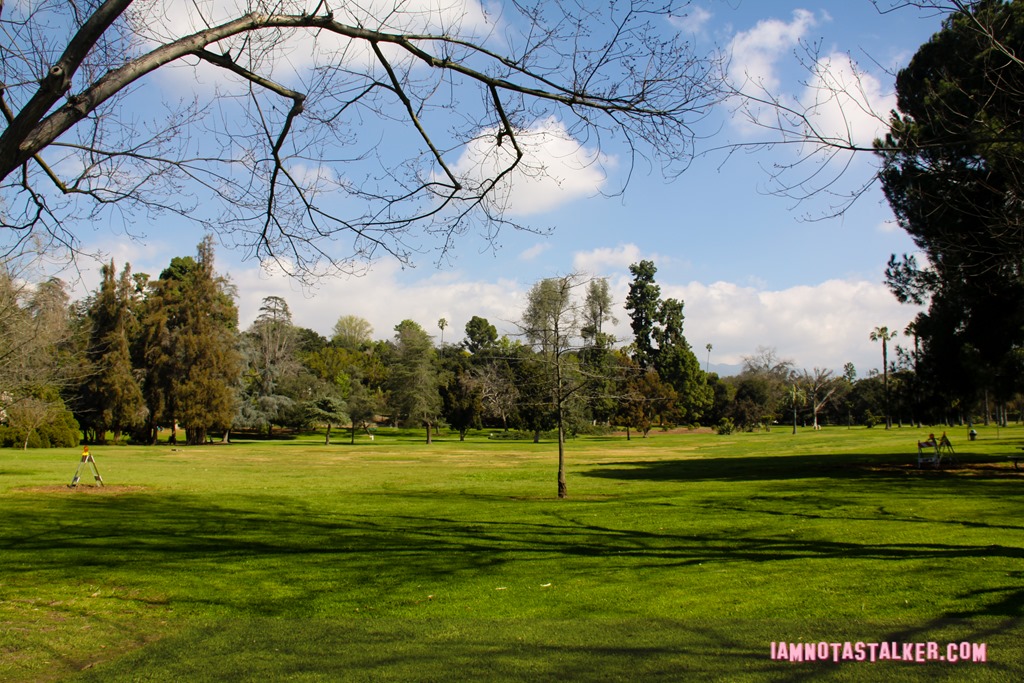 Lacy Park from Say Anything-7001