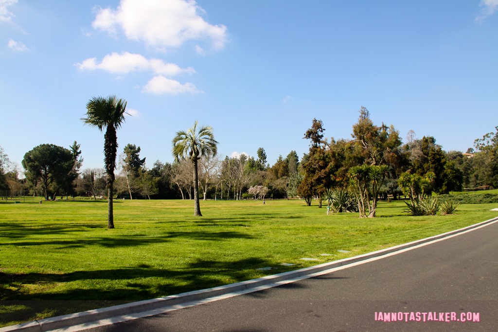 Lacy Park from Say Anything-7019