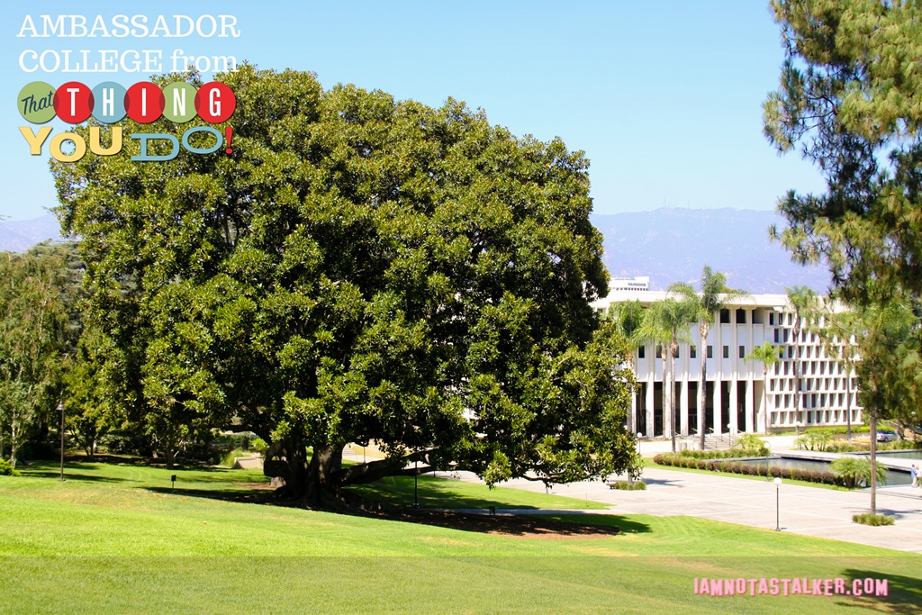 Ambassador College from That Thing You Do-5053