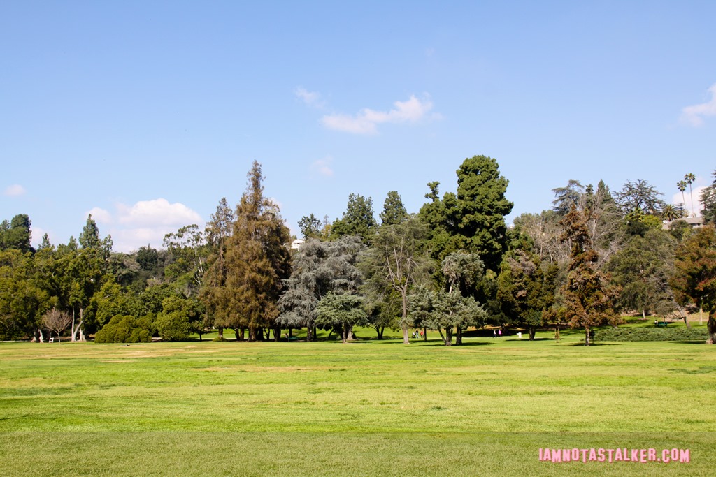 Lacy Park from Say Anything-7007