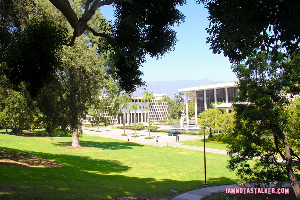 Ambassador College from That Thing You Do-5050