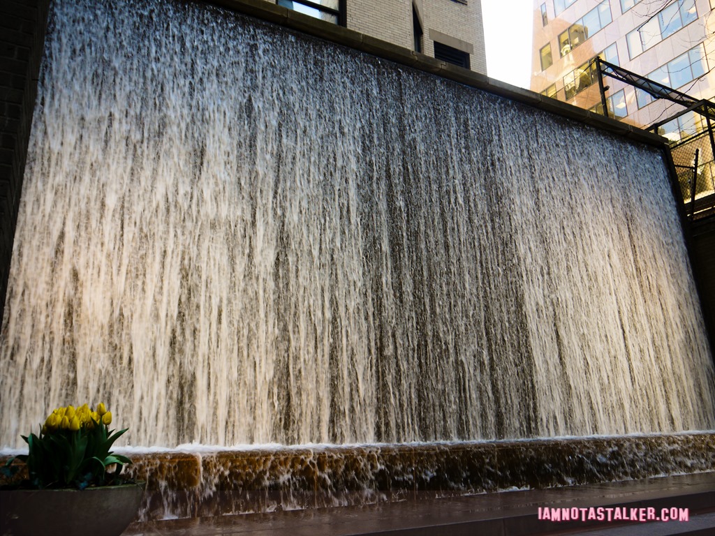 New York'