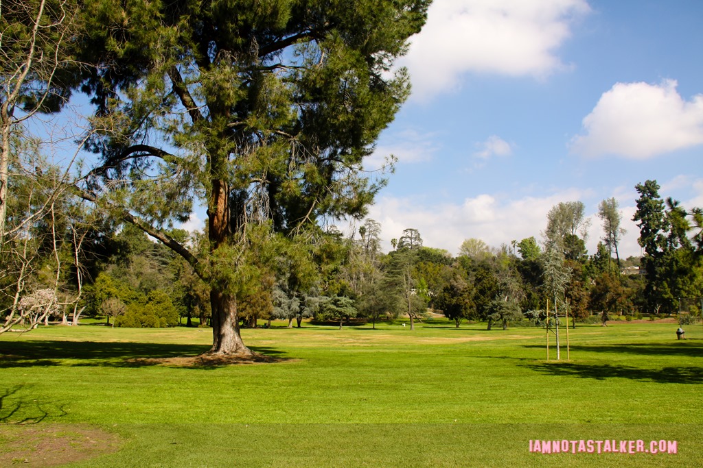 Lacy Park from Say Anything-7003