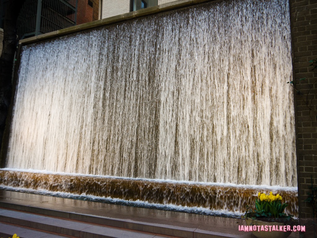 New York'