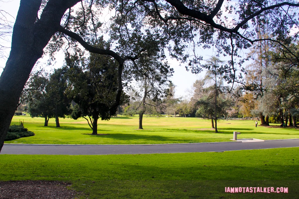 Lacy Park from Say Anything-7022