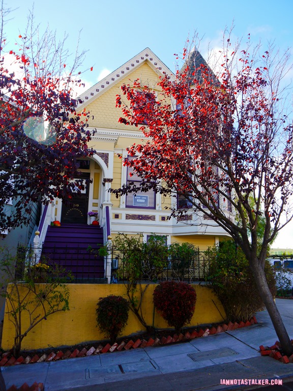 The Pacific Heights House-1190594