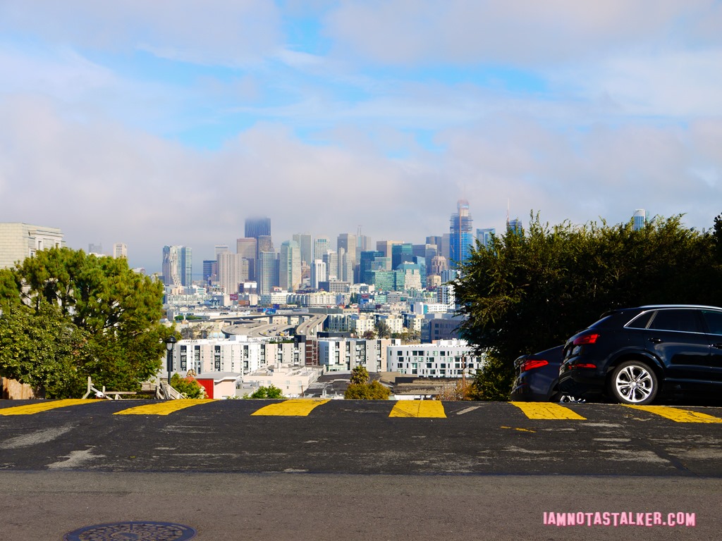 The Pacific Heights House-1190591