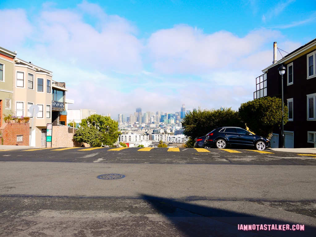 The Pacific Heights House-1190590