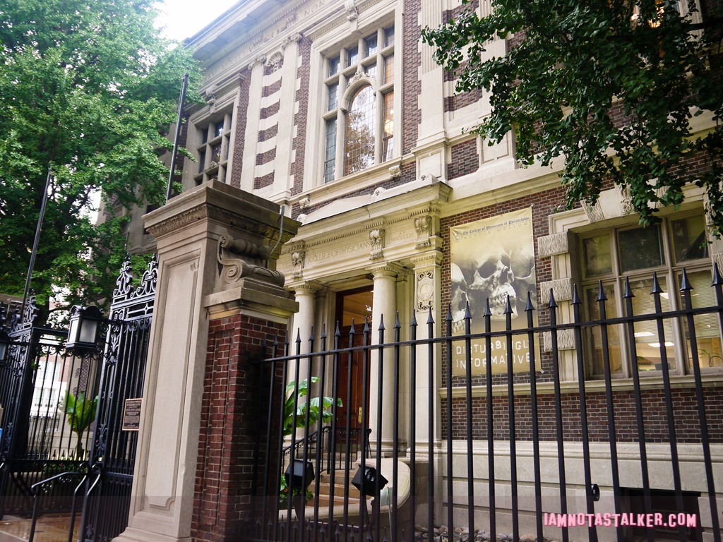 The Mutter Museum-1180351
