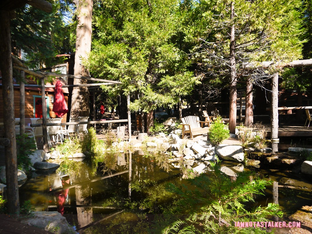 Arrowhead Pine Rose Cabins from Veep-1200414