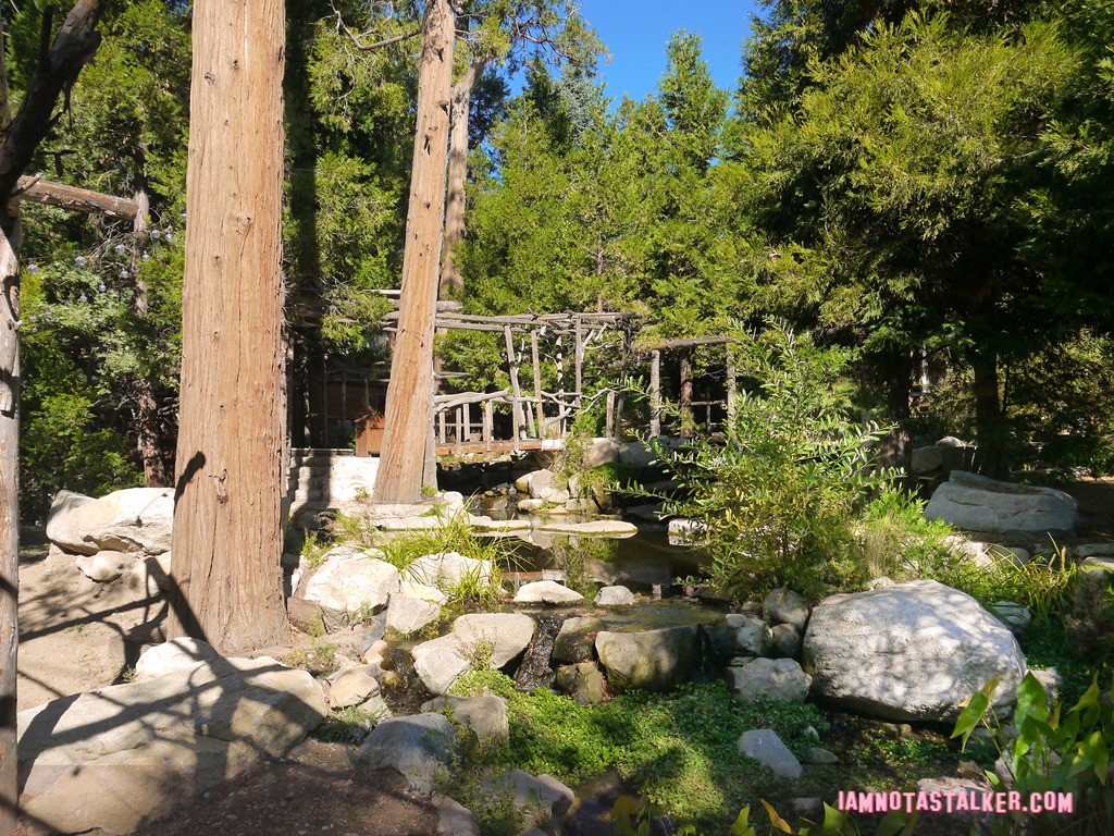 Arrowhead Pine Rose Cabins from Veep-1200412