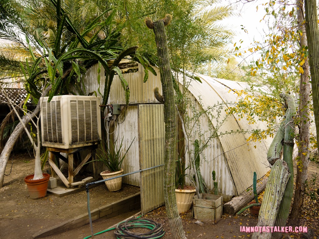 Moorten Botanical Garden from Rescue 911-1130159