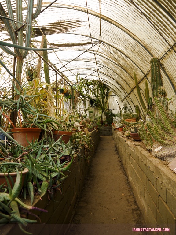 Moorten Botanical Garden