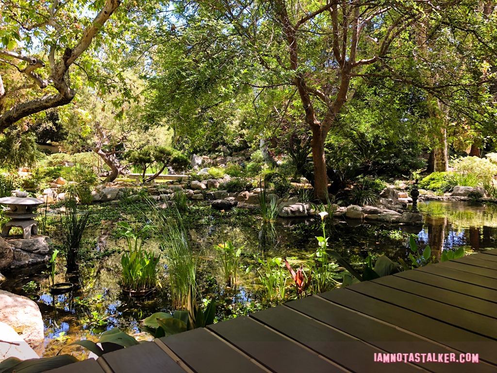 Storrier Stearns Japanese Garden from Pure Genius-8591