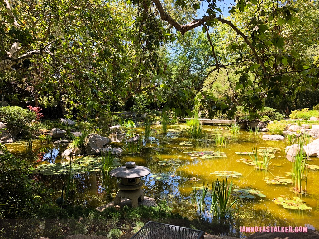 Storrier Stearns Japanese Garden from Pure Genius-8630