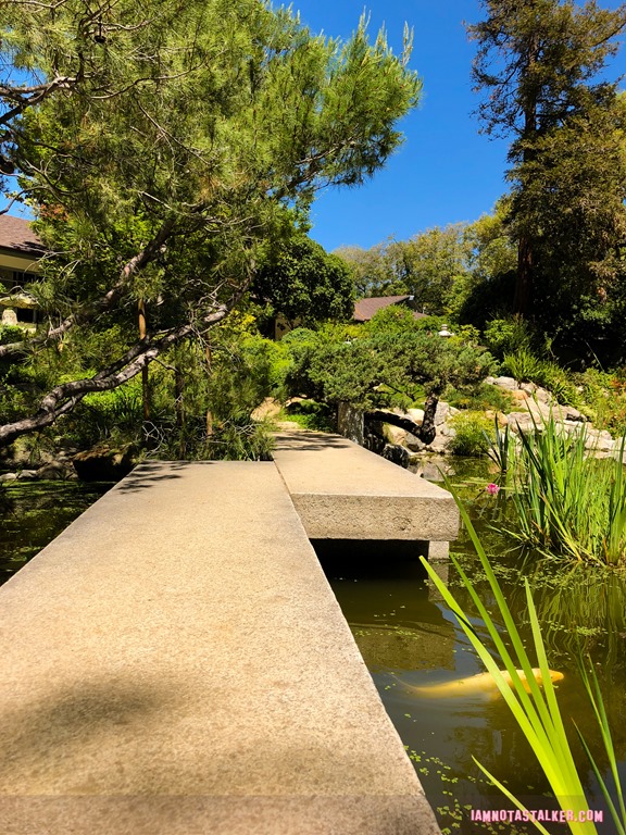 Storrier Stearns Japanese Garden from Pure Genius-8617