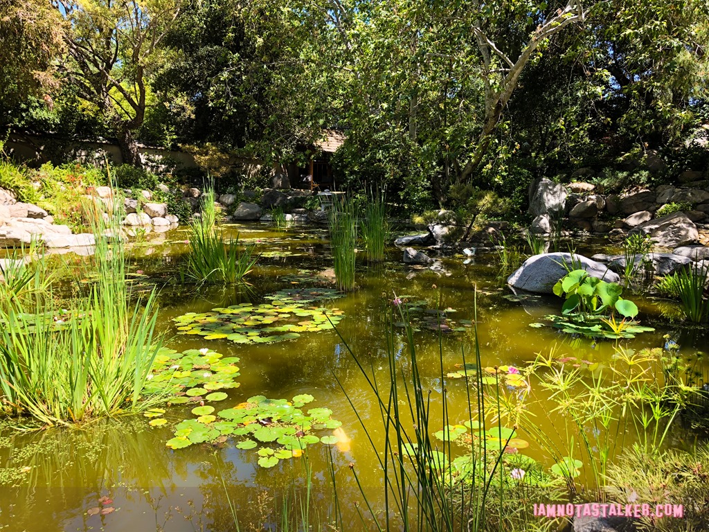 Storrier Stearns Japanese Garden from Pure Genius-8613