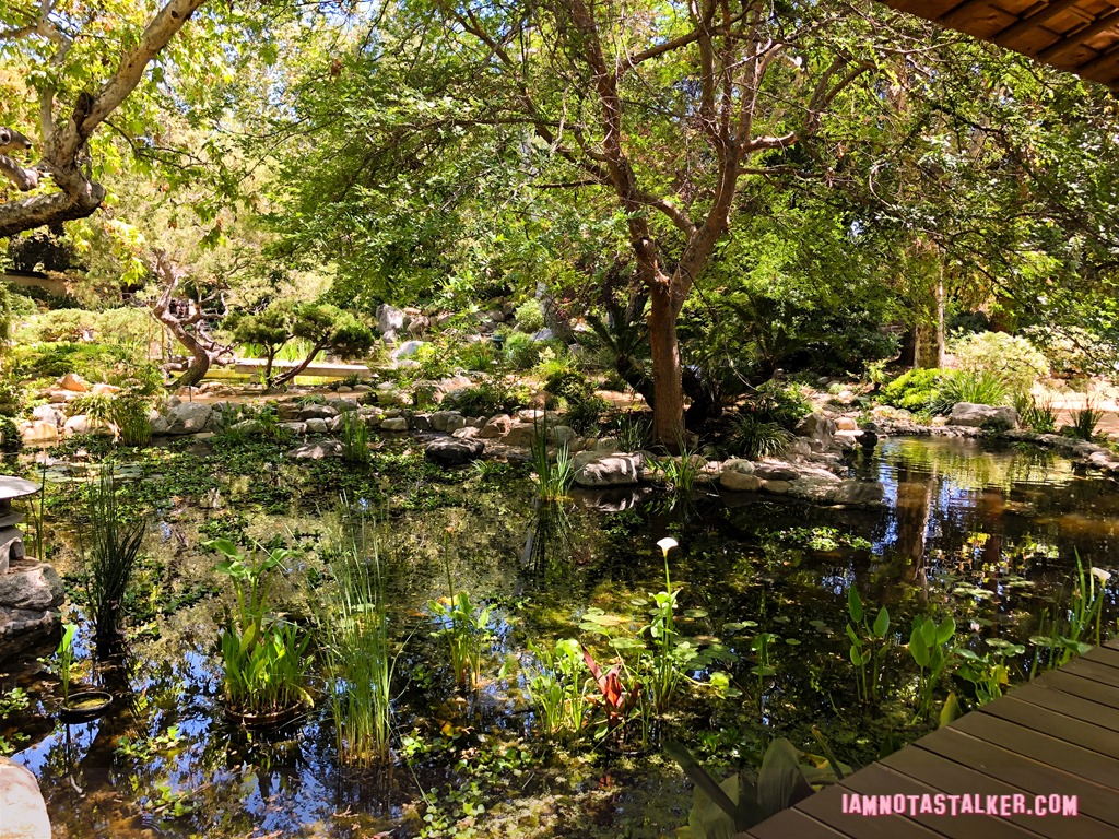 Storrier Stearns Japanese Garden from Pure Genius-8590
