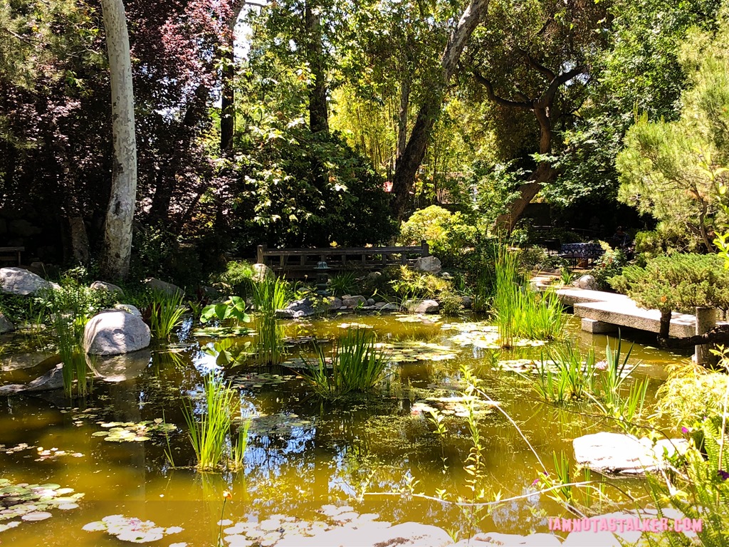 Storrier Stearns Japanese Garden from Pure Genius-8628