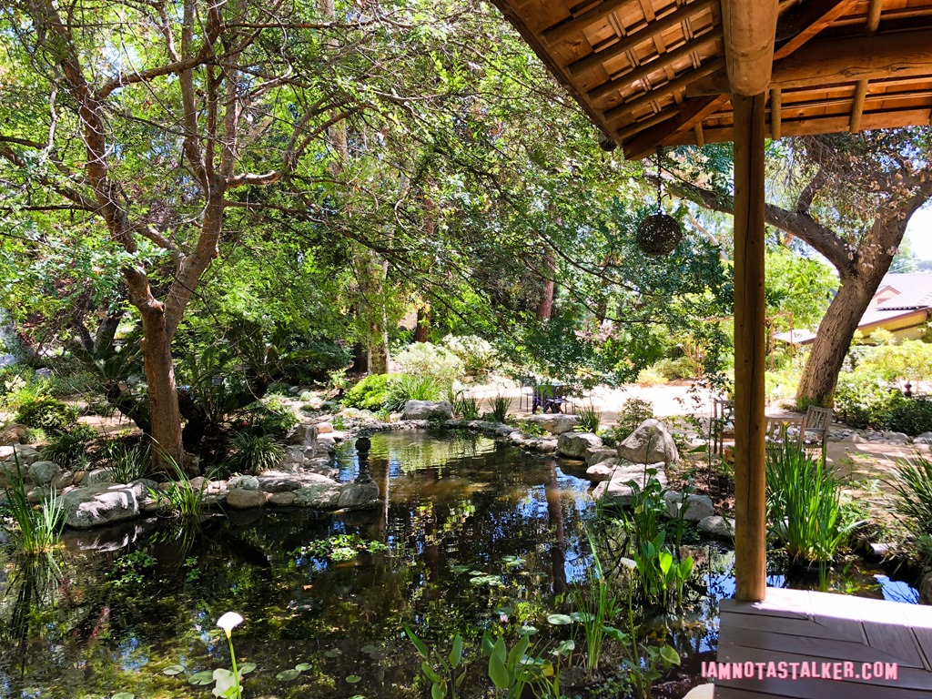 Storrier Stearns Japanese Garden from Pure Genius-8592