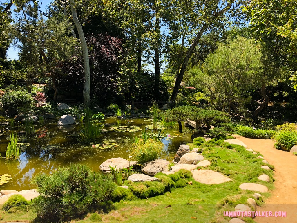 Storrier Stearns Japanese Garden from Pure Genius-8632