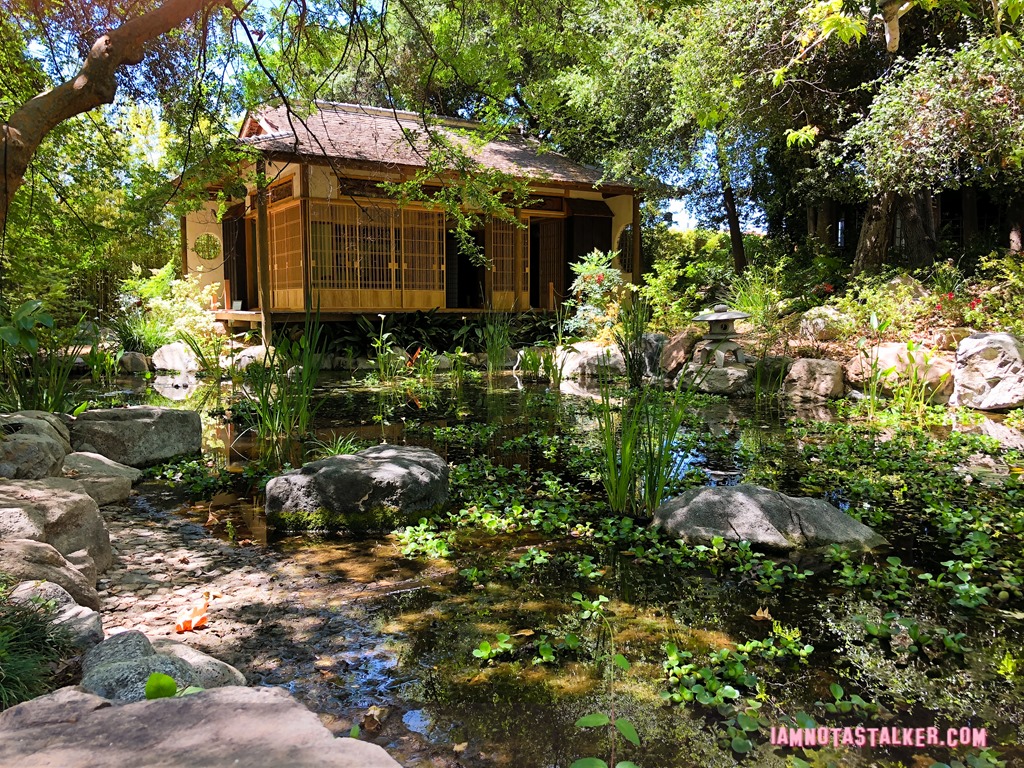 Storrier Stearns Japanese Garden from Pure Genius-8610