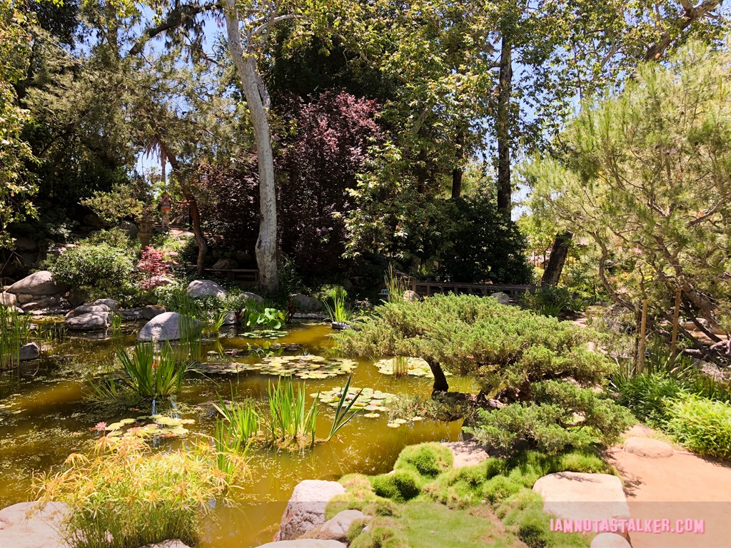 Storrier Stearns Japanese Garden from Pure Genius-8623