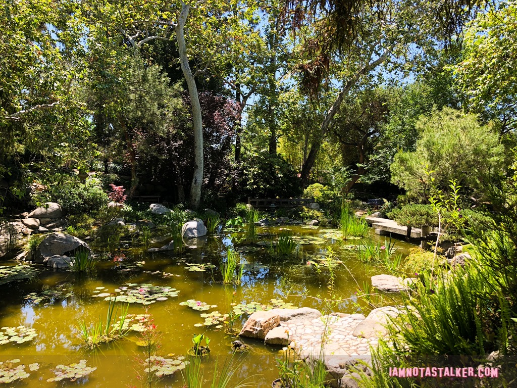 Storrier Stearns Japanese Garden from Pure Genius-8627
