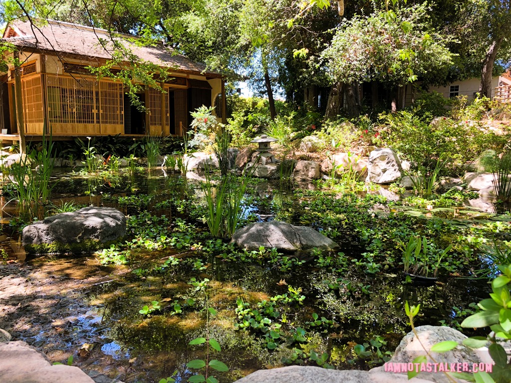 Storrier Stearns Japanese Garden from Pure Genius-8612