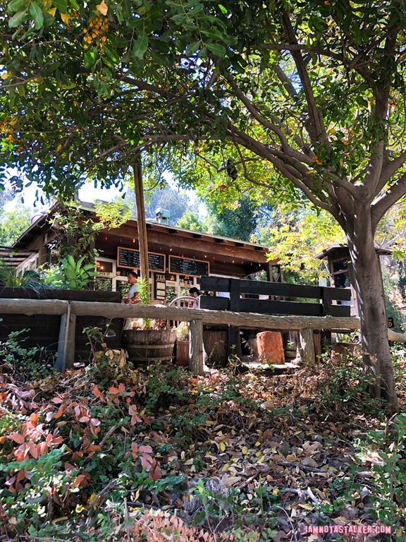 The Trails Cafe from The Catch-9861