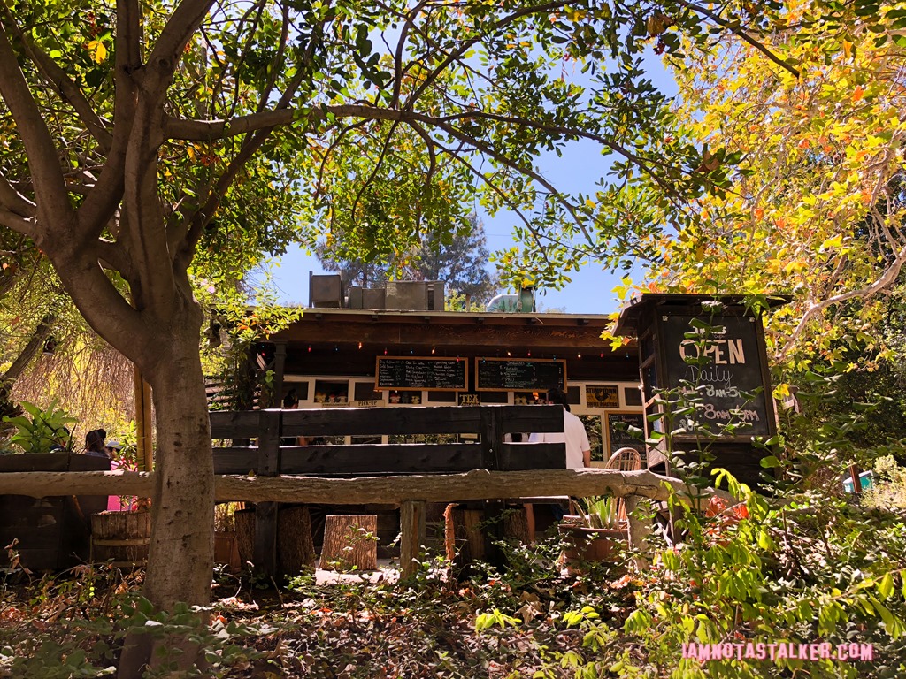 The Trails Cafe from The Catch-9857