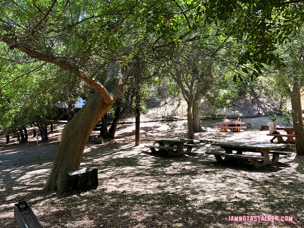 The Trails Cafe from The Catch-9835
