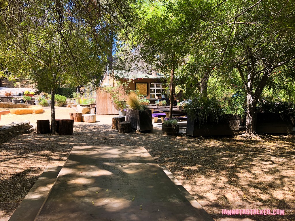 The Trails Cafe from The Catch-9836