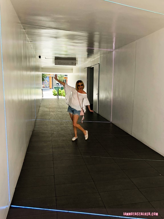 The “Portal” Light Installation