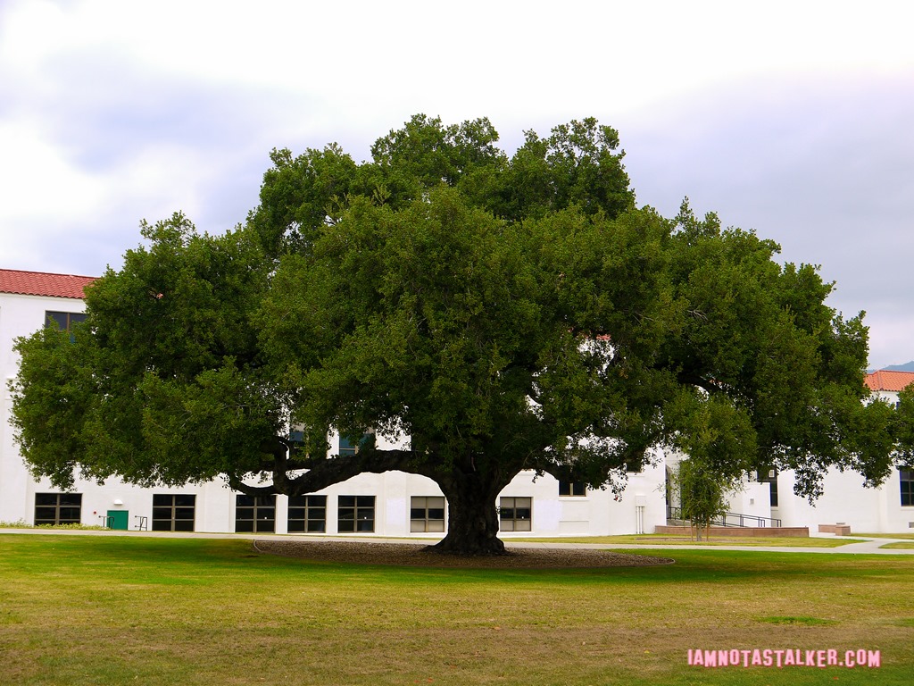 Monrovia High School from A Cinderella Story (3 of 23)