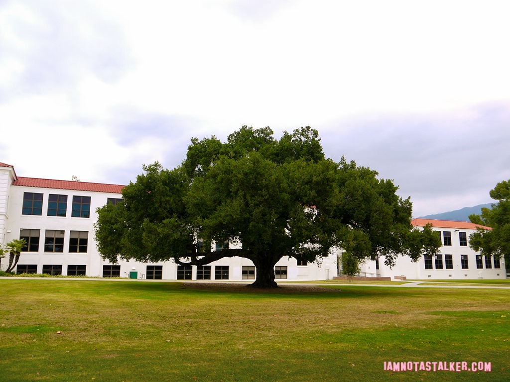 Monrovia High School from A Cinderella Story (2 of 23)