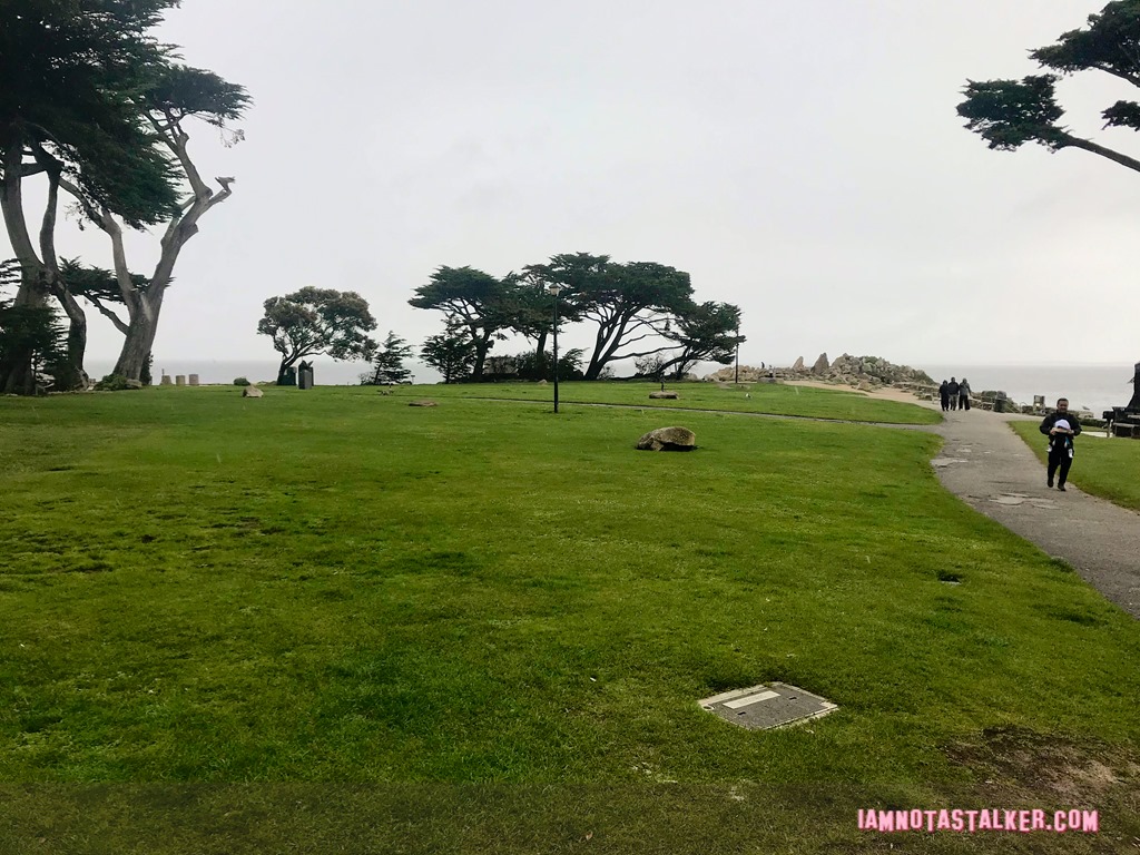 Blissful Drip Café from “Big Little Lies”