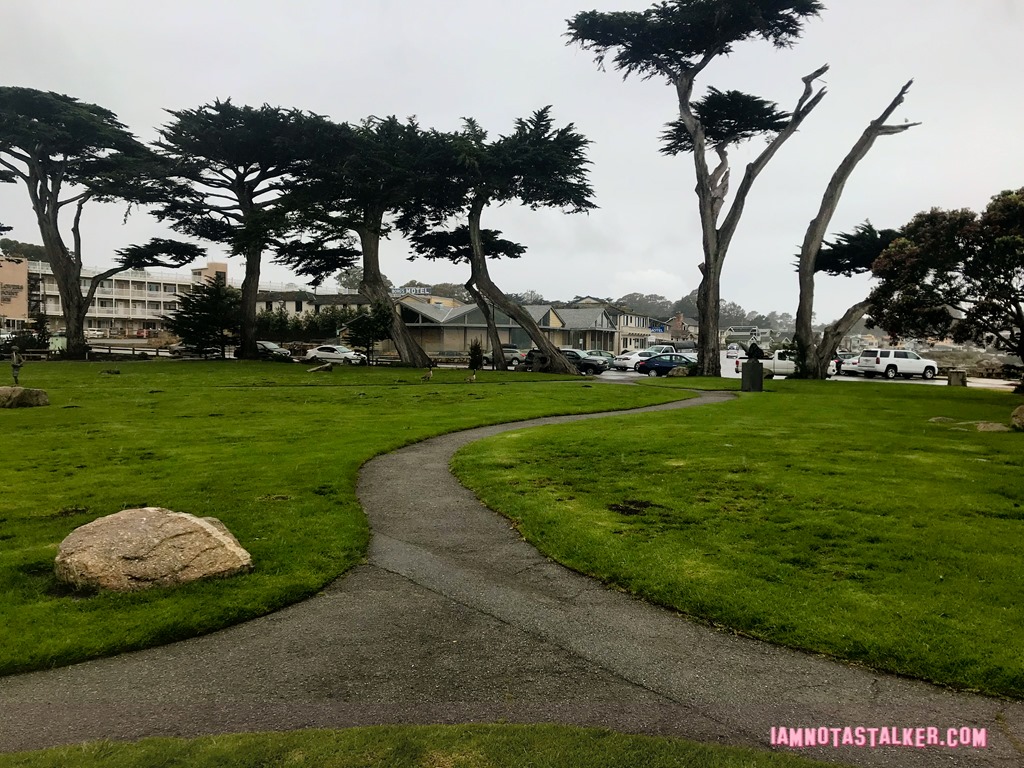 Blissful Drip Cafe from Big Little Lies (8 of 9)