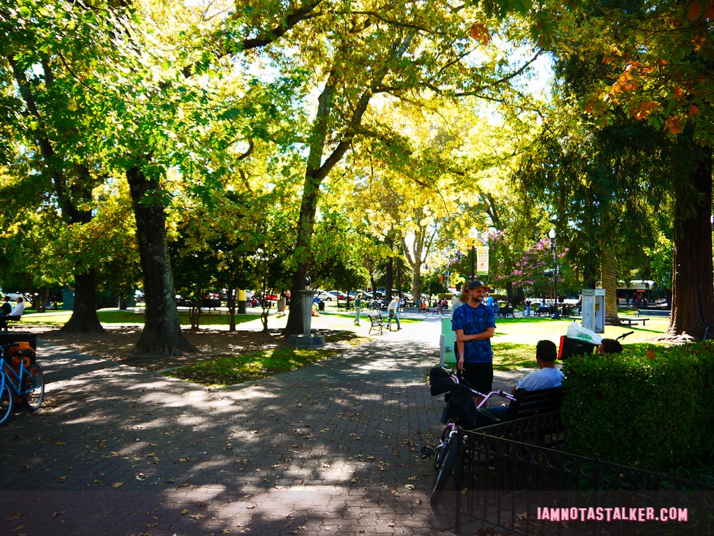 Healdsburg Town Plaza from Scream (1 of 20)