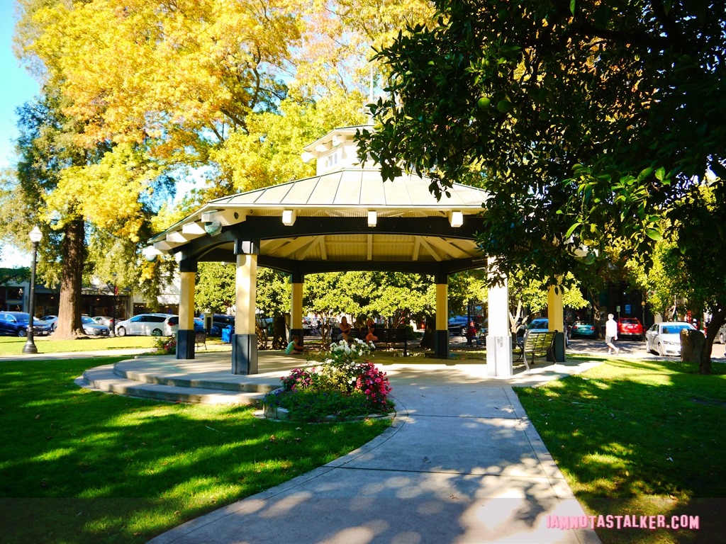 Healdsburg Town Plaza from Scream (4 of 20)